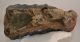 Mammuthus meridionalis tooth (2787 grams) Southern Mammoth