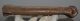 Equus sp. metacarpus bone (245 mm)