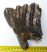 Mammuthus meridionalis részleges fog (1171 gramm)