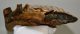 Mammuthus primigenius tooth (2121 grams) Woolly mammoth molar