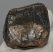 Mammuthus primigenius részleges fog (203 gramm) Mammuthus primigenius részleges fog (203 gramm)