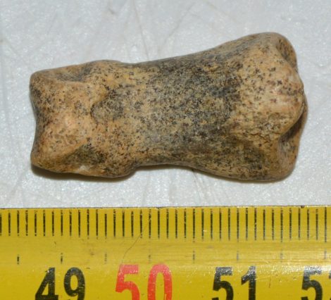 Ursus spelaeus toe bone (32 mm)