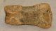 Ursus spelaeus toe bone (32 mm)