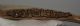Bison priscus left lower jaw (472 mm) Bison priscus left lower jaw (472 mm)