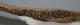 Bison priscus left lower jaw (472 mm) Bison priscus left lower jaw (472 mm)