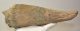 Bison sp. horn bone (274 mm)