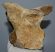 Mammuthus primigenius partial vertebra bone (726 grams) SOLD (EB) 04