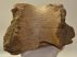 Mammuthus primigenius részleges állkapocs csont (2030 gramm)