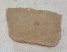 Saltasaurus sp. Dinosaur Eggshell (28 x 18 mm)