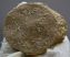 Nummulites millecaput from Pusztavám (64 grams)