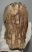 Mammuthus primigenius tooth (3025 grams) Mammuthus primigenius tooth (3025 grams)