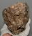 Mammuthus primigenius tooth (3025 grams) Mammuthus primigenius tooth (3025 grams)