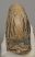 Mammuthus primigenius tooth (2190 grams) Woolly Mammoth