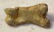 Ursus spelaeus toe bone (42,5 mm) proximal phalanges