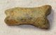 Ursus spelaeus toe bone (42,5 mm) proximal phalanges