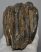 Mammuthus meridionalis részleges fog (713 gramm)