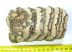 Mammuthus primigenius részleges fog (858 gramm)