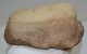 Mammuthus sp. astragalus bone (1088 grams)
