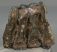 Mammuthus meridionalis partial tooth (1641 grams)