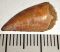 Deltadromeus agilis partial dinosaurus tooth (17 mm)