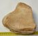 Mammuthus primigenius részleges melső lábcsont (lunatum)