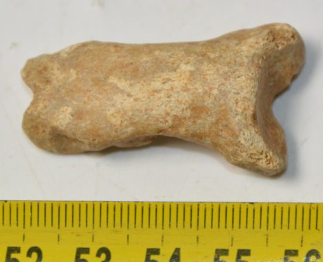 Ursus spelaeus ujjperc csont (40,4 mm) Ursus spelaeus ujjperc csont (40,4 mm)