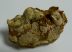 Crocuta spelaea hiéna fog koponya csontban Franciaországból