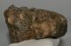 Mammuthus meridionalis fog (699 gramm)