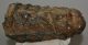 Mammuthus meridionalis partial tooth (2673 grams)