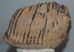 Mammuthus primigenius partial tooth (2358 grams)