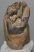 Mammuthus primigenius partial tooth (2358 grams)