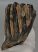 Mammuthus meridionalis partial tooth (577 grams)