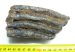 Mammuthus primigenius részleges fog (587 gramm)