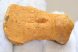 Atocetus fuchsii részleges felkar csont (45 mm)