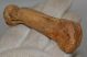 Ursus spelaeus metapodium csont (72,5 mm)