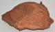 Phylloceras ammonite from Tardos (3786 grams)