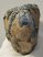 Mammuthus meridionalis fog ( 1 Kg ) Mammuthus meridionalis fog ( 1 Kg )