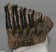 Mammuthus meridionalis partial tooth (900 grams)