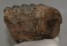 Mammuthus meridionalis partial tooth (900 grams)