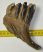 Elephas antiquus partial tooth (491 grams) Palaeoloxodon antiquus