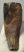 Elephas antiquus partial tooth (491 grams) Palaeoloxodon antiquus