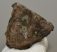 Mammuthus meridionalis részleges fog  (925 gramm)