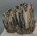 Mammuthus meridionalis partial tooth (1314 grams)