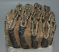 Mammuthus meridionalis partial tooth (1314 grams)