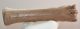 Equus sp. metacarpus bone (Horse)