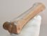 Equus sp. metacarpus bone (Horse)