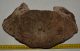 Mammuthus meridionalis partial vertebra (3539 grams)