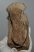 Mammuthus meridionalis partial vertebra (3539 grams)