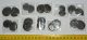 10 pairs Pyritized Cut Ammonite Fossil from Morocco