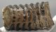 Mammuthus sp. partial tooth (2076 grams) SOLD (E) 10
